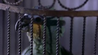 6 PUBLIC ACTS THAT MIGHT MAKE YOU A WHORE | celebwhore